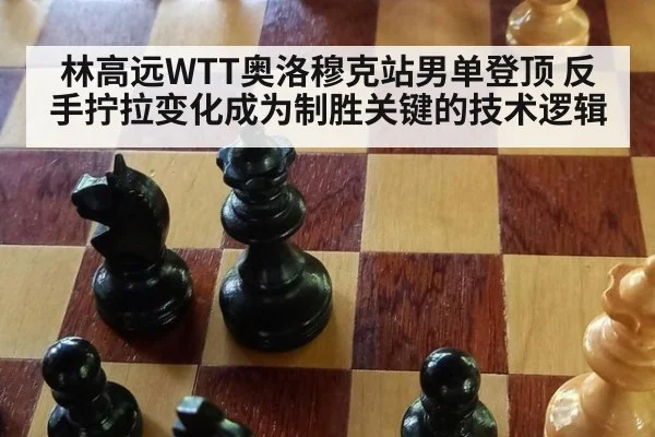 林高远WTT奥洛穆克站男单登顶 反手拧拉变化成为制胜关键的技术逻辑